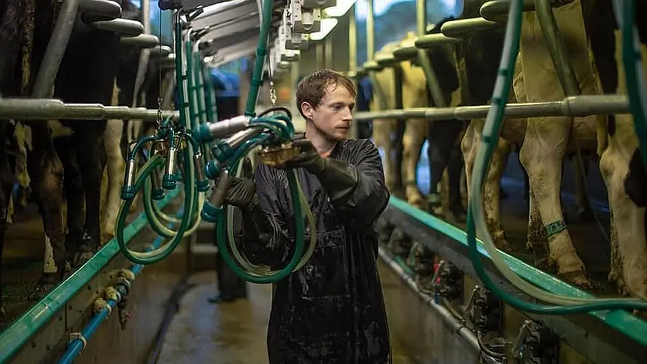 GEA Milking Parlor has many advantages Image