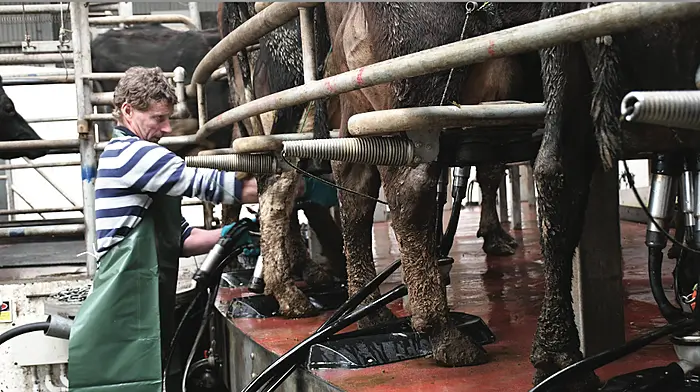 GEA product was perfect for Liam Image