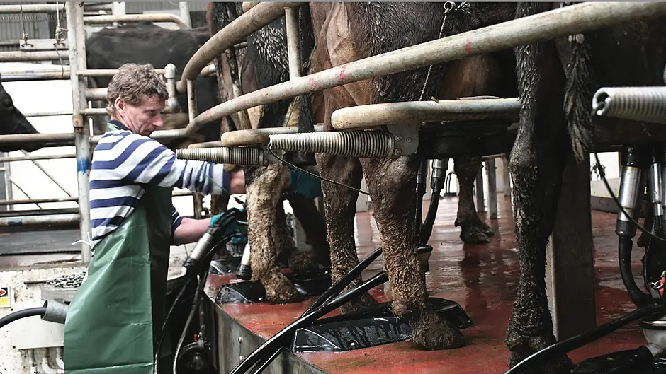 GEA product was perfect for Liam Image