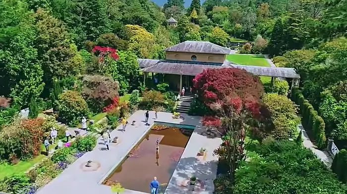 WATCH: Actor Liam Cunningham stars in new video showcasing stunning West Cork (and Kerry) Image