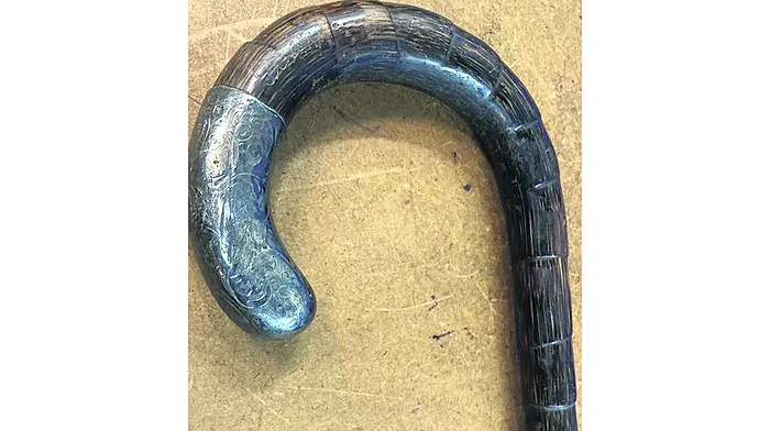 Collins stick is sold for €60,000 after lively bidding at auction Image