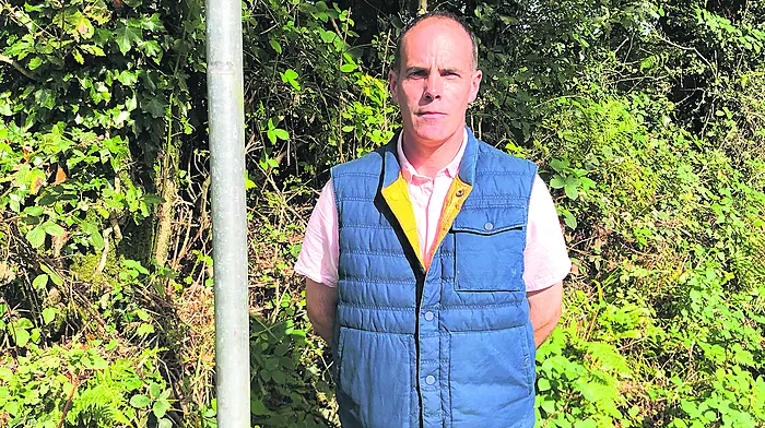 Drivers at risk due to thefts of Stop signs Image