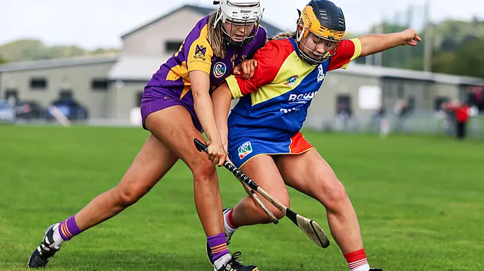Carbery bow out of county senior camogie championship Image