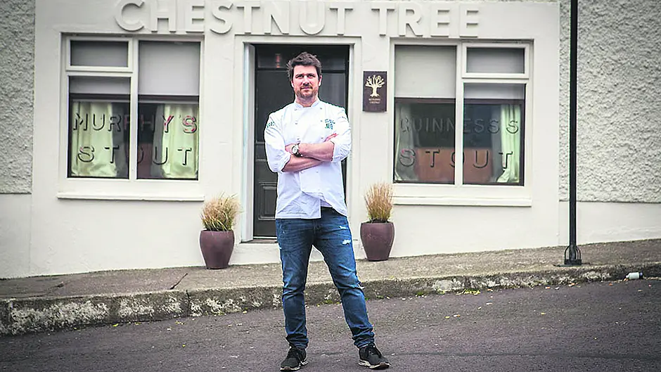 Foraging, music and tree planting at Feel Good Festival Image