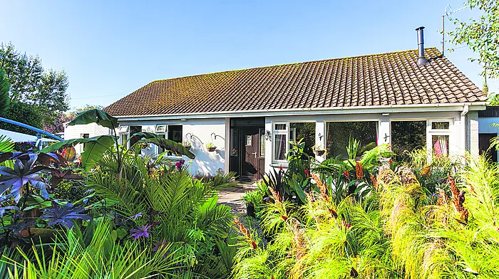 HOUSE OF THE WEEK Leap four-bed for €325,000 Image