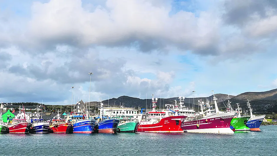 Local fishers ‘ignored’ in seafood taskforce report Image