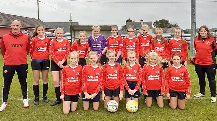 Skibbereen and Drinagh the toasts of West Cork soccer Image