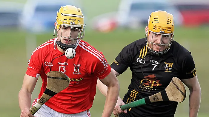 Brilliant Ballinascarthy hurlers rule in Carbery division Image