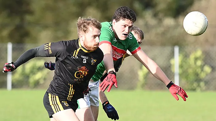 Convincing St Mary's through to Carbery junior football final Image