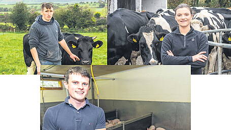 PROFILED: Future looks bright with calibre of West Cork Young Farmer of the Year nominees Image