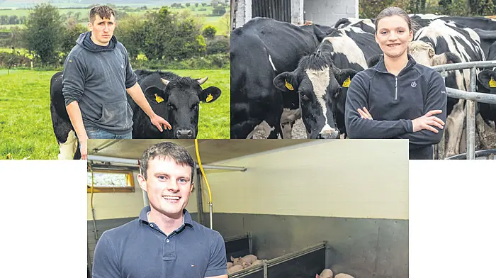 PROFILED: Future looks bright with calibre of West Cork Young Farmer of the Year nominees Image