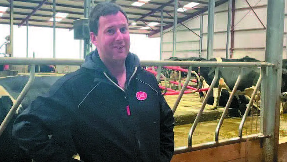 Milking with a Lely Astronaut in West Cork Image
