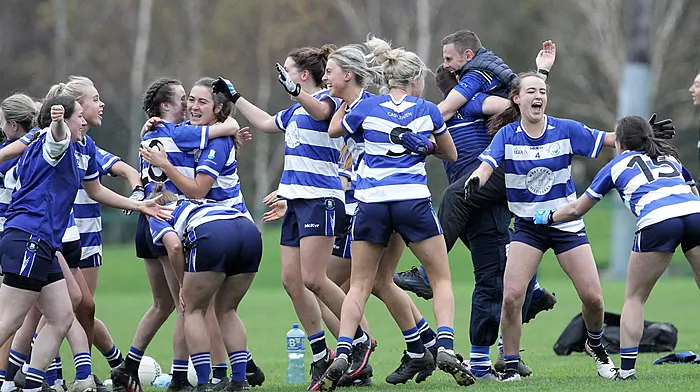 Castlehaven in Tipp-top form as Munster semi-final looms Image
