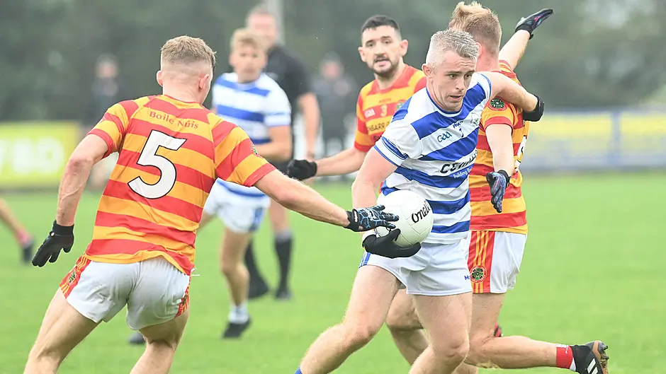 McCarthy backs Haven to raise the Barr in heavyweight battle Image