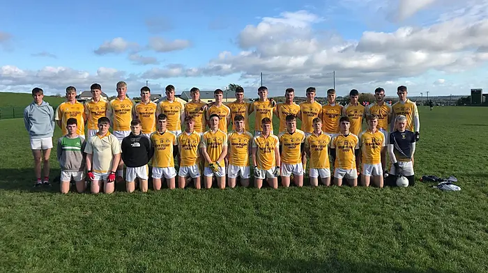 Hamilton High School and Clonakilty Community College through to Corn Uí Mhuirí quarter-finals Image