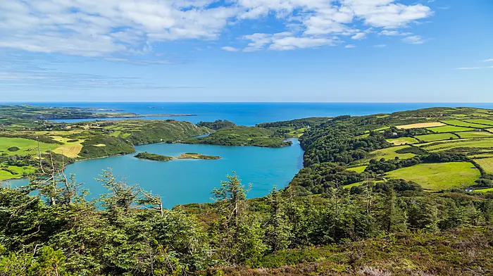 New group fears Lough Hyne has become ‘water sports resort' Image