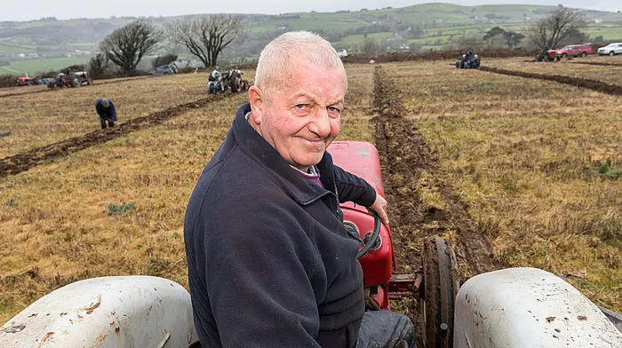 PLOUGH ON Having a field day in Cahermore Image