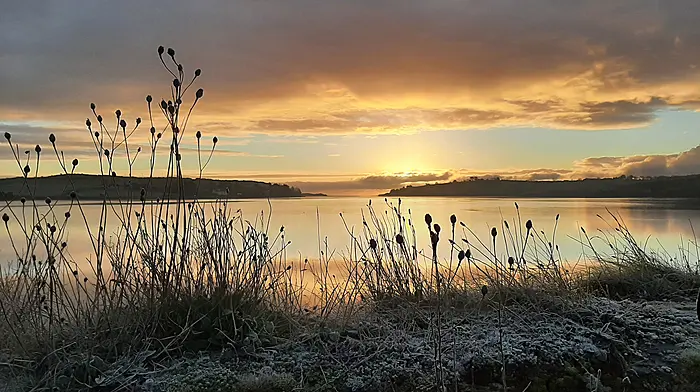 READER’S PICTURE OF THE WEEK Image