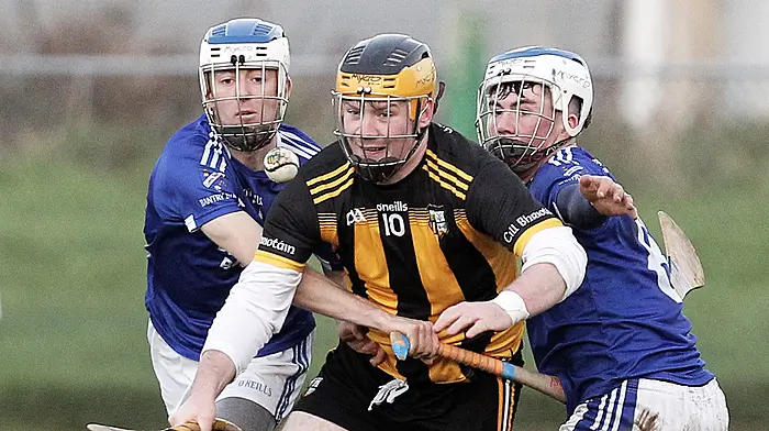 Hero Desmond spot on for Kilbrittain in Carbery junior B final Image