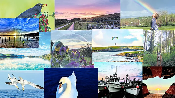 GALLERY: Help us choose the overall Reader’s Picture for 2021 Image