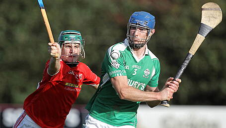 Champions Ballinascarthy dominate Carbery junior hurling team of the season Image