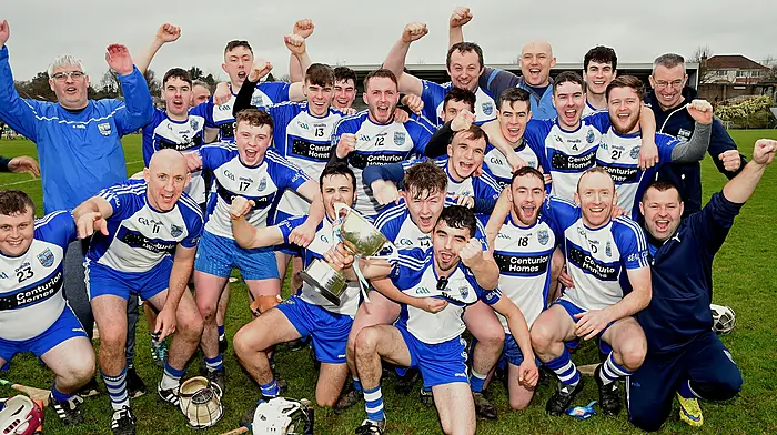 Dwyer stars as Belgooly hurlers dash Randal Óg’s double dream Image