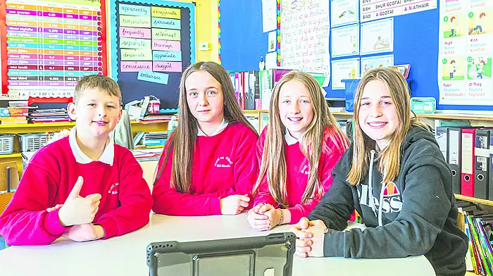 Locals’ trip helps copper-fasten ties between Allihies and Butte Image
