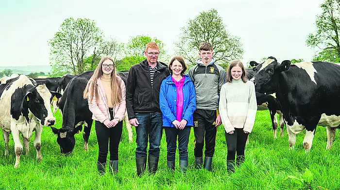 A busy April in the planning on Cullinane’s dairy farm Image