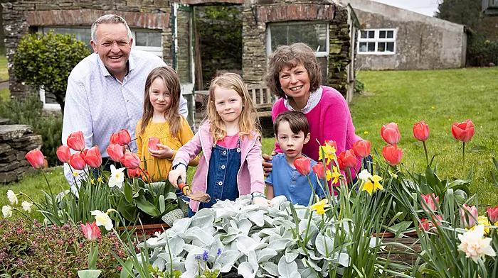 Brand new chapter for Drimoleague’s Glenilen with Eason kids’ project Image