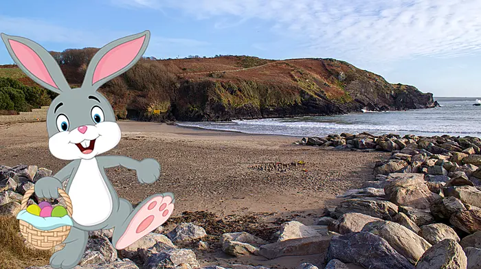 Great West Cork Easter egg hunt locations Image