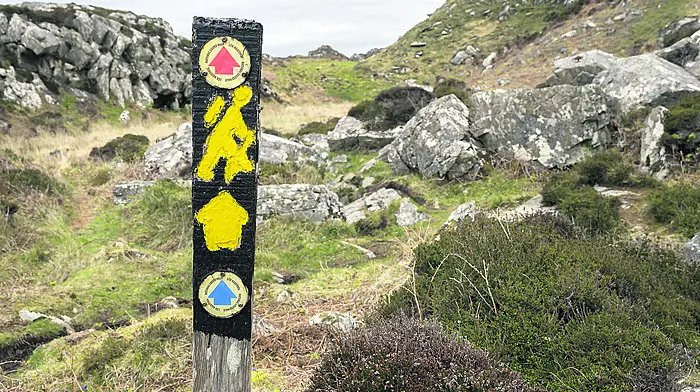 West Cork could benefit from Mizen to Malin ‘Camino’ Image