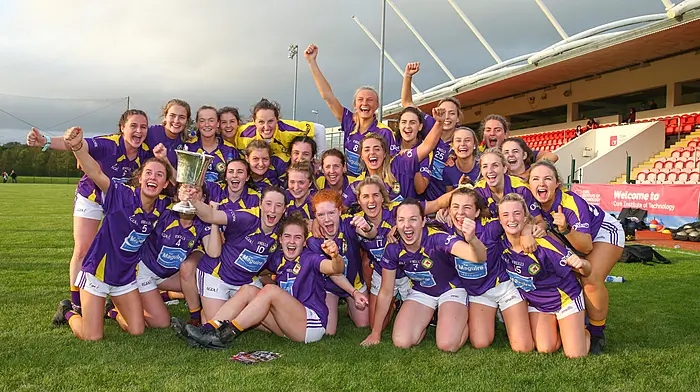 LONG READ: The rise and fall of the West Cork senior ladies' football divisional team Image