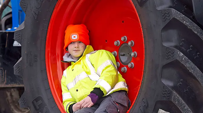 WHEELY GOOD REST Tyred out! Image