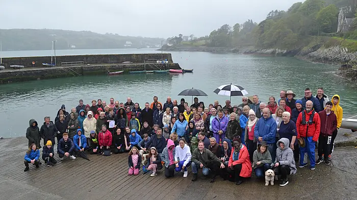 Glandore on collision course with Council Image