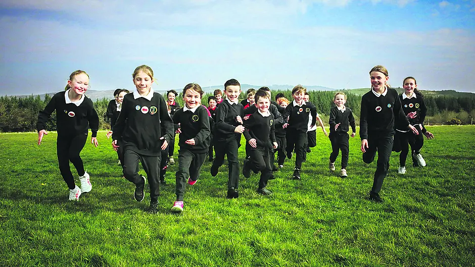 Healthy Heroes at Togher school Image
