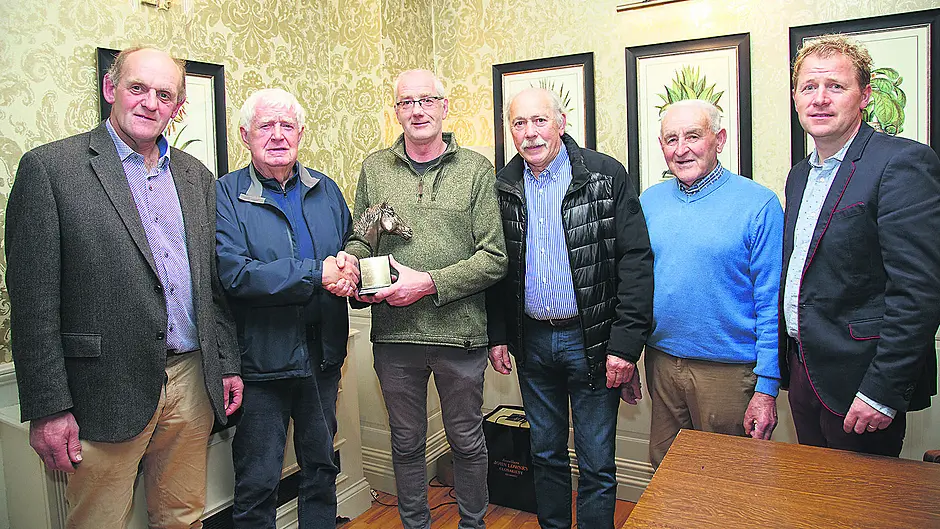 Dillons’s horse breeding success is right ‘on point’ Image