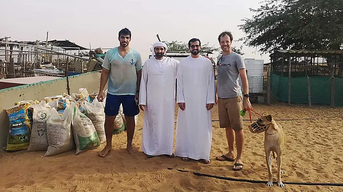 Kinsale man gets offered a goat for rescuing a camel! Image
