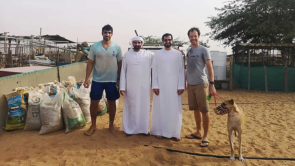 Kinsale man gets offered a goat for rescuing a camel! Image