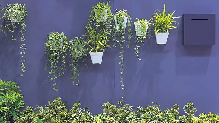 INTERIORS: Be bold with garden walls and fences Image