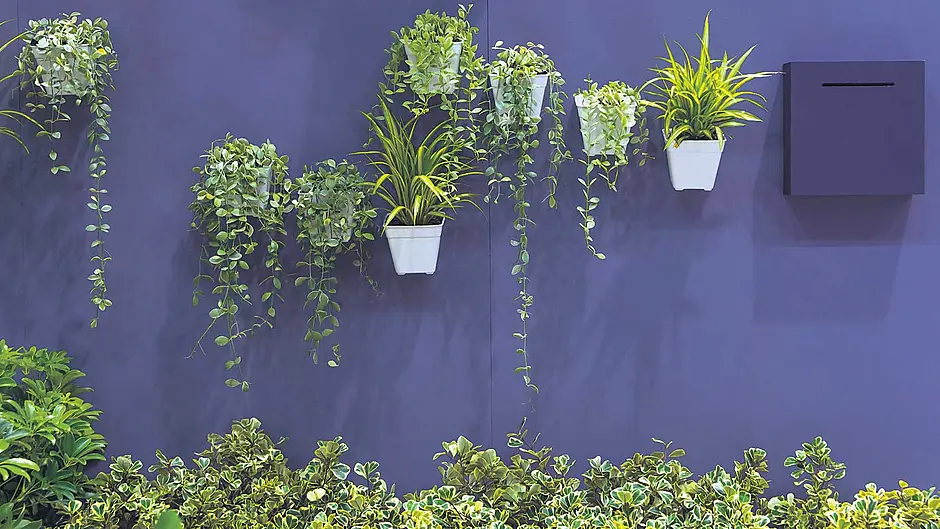 INTERIORS: Be bold with garden walls and fences Image