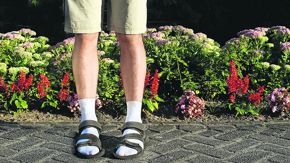 WOMAN ON THE VERGE: Time to bring back the socks and sandals Image