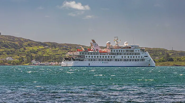 BEARA IN BLUE Ship ahoy! Image