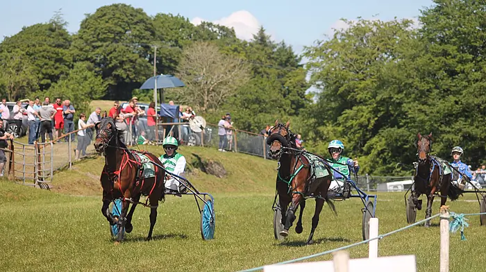Showtime Notorious races to impressive win in Dunmanway Image