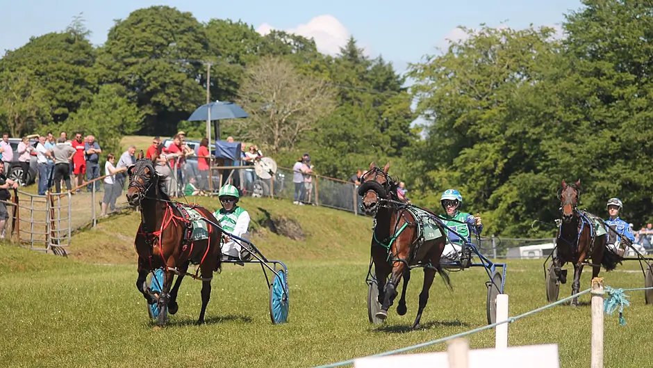 Showtime Notorious races to impressive win in Dunmanway Image