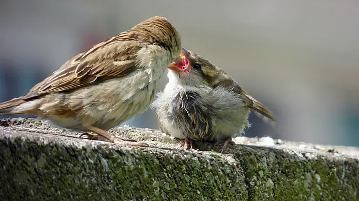 READER’S PICTURE OF THE WEEK Image