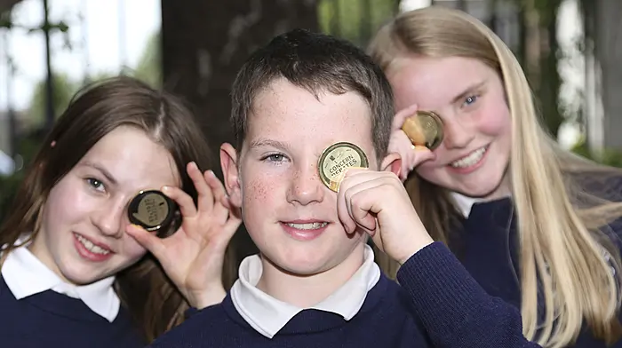 Top debating title for Ardfield National School Image