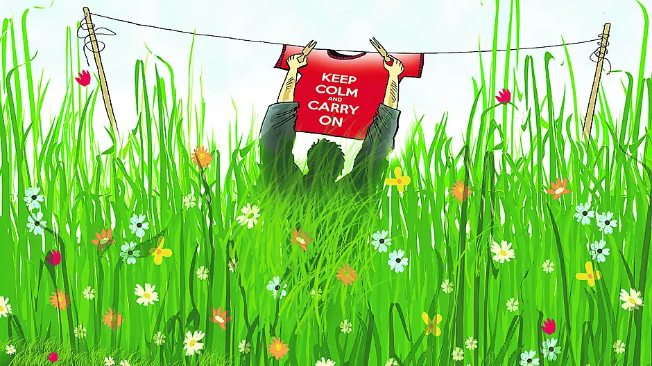 This fab eco-activism should be extended beyond No Mow May! Image