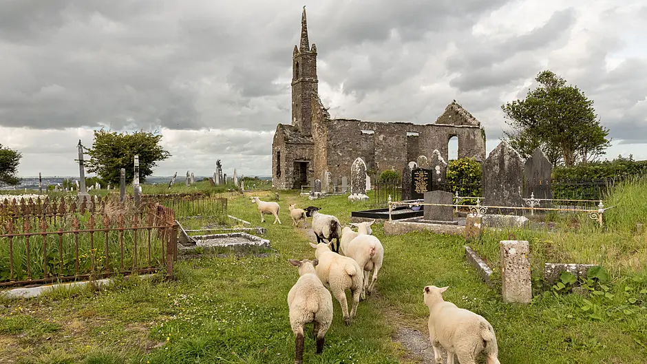 Caring ‘Crosser’ and kind Kinsale raise for charity Image