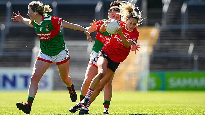 OPINION: By their high standards, Cork came up well short in their All-Ireland title bid Image