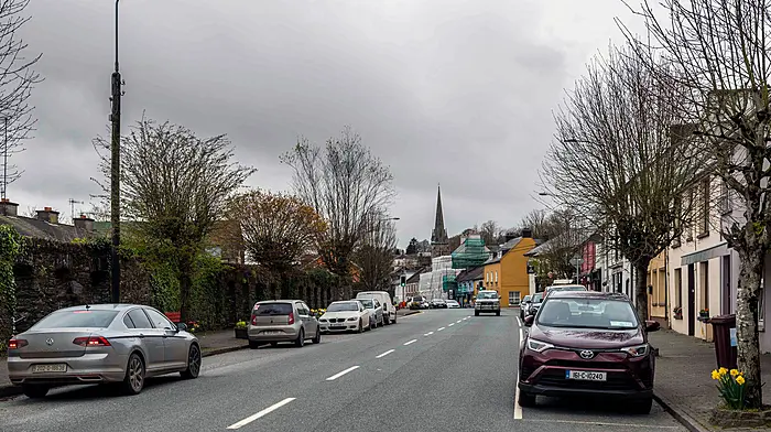 Innishannon finally gets help to slow down speeding motorists Image